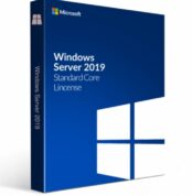 Windows Server 2019 Standard Product CD Key