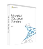 Microsoft SQL Server 2019 Standard Edition