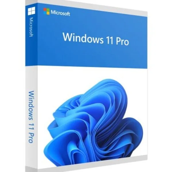 Windows 11 Professional Retail Key