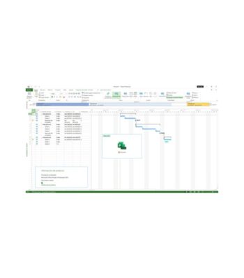 Project Professional 2021 2