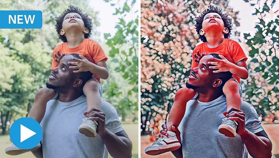 Adobe Photoshop Elements 2023 For MAC – Lifetime Activation