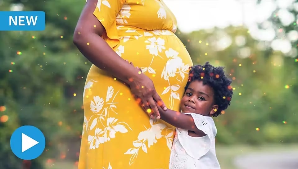 Adobe Photoshop Elements 2023 For MAC – Lifetime Activation