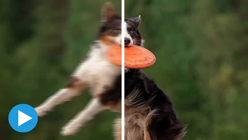 Adobe Photoshop Elements 2023 For MAC – Lifetime Activation