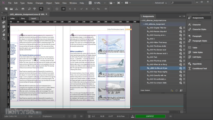 adobe incopy screenshot 03