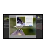 Adobe Lightroom Classic 2023 full version for MAC - Image 2