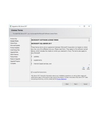 Microsoft SQL Server 2017 Standard – License 1