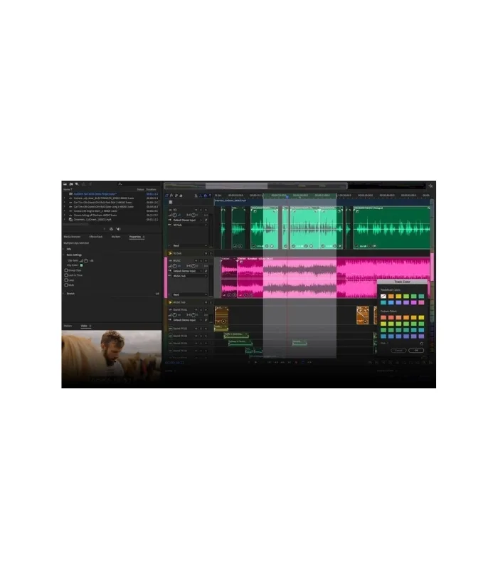 Adobe Audition 2024 Lifetime Activation for Windows - Image 2